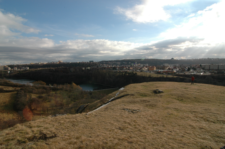 DSC_7090
