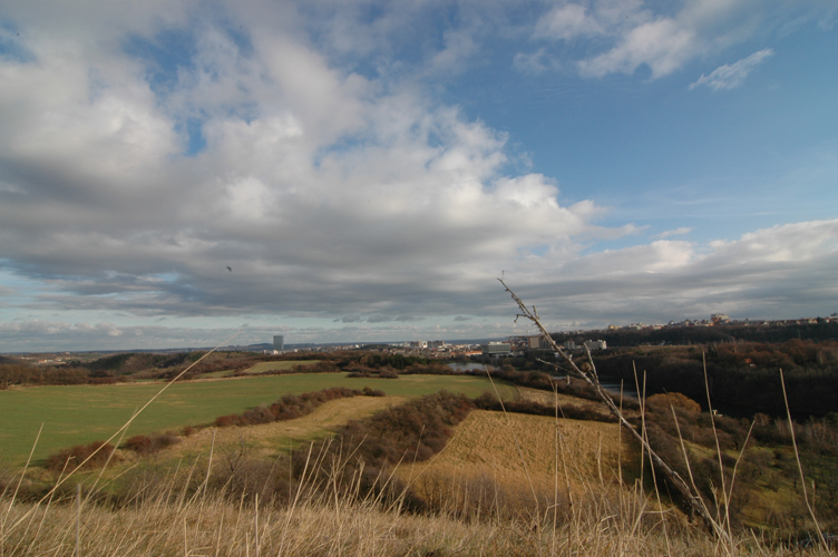 DSC_7094