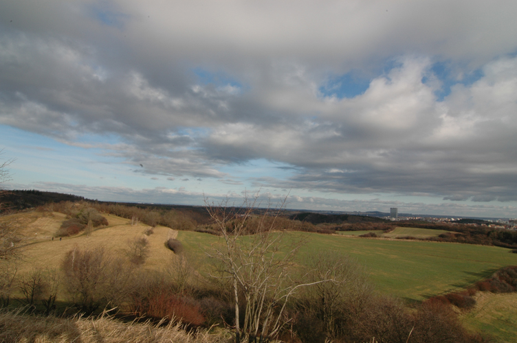 DSC_7101