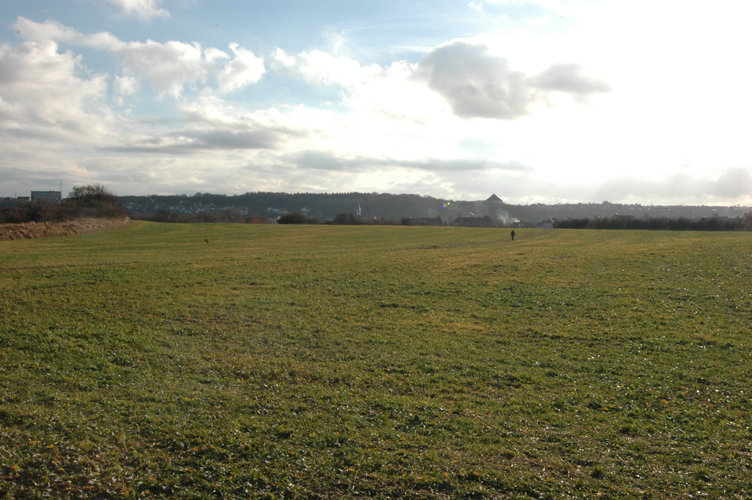 DSC_7118