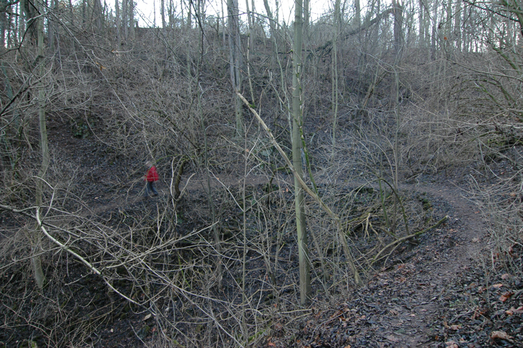 DSC_7127