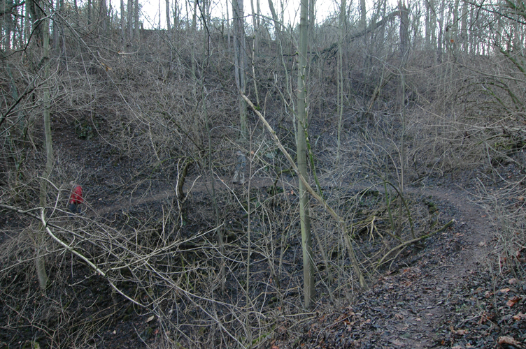 DSC_7128