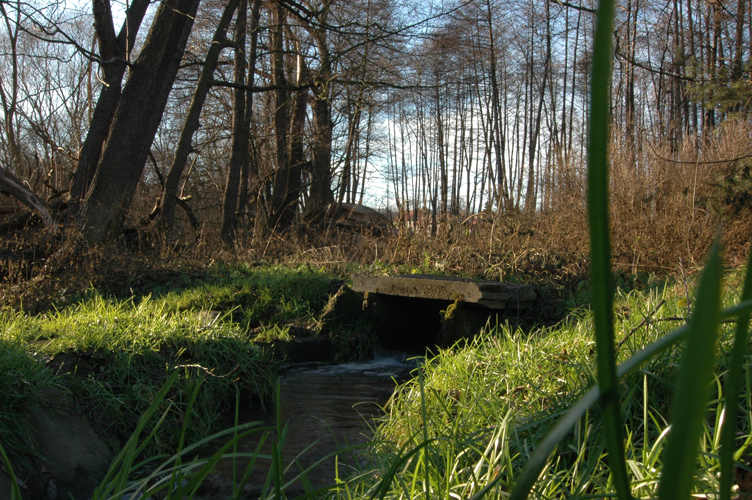 DSC_7142