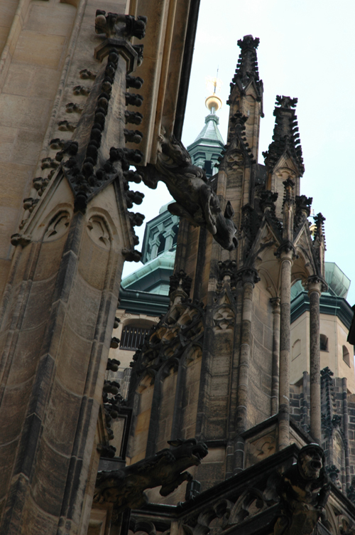 DSC_7369