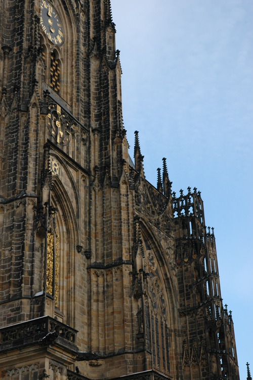 DSC_7371
