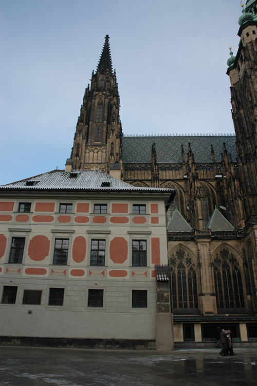 DSC_7377