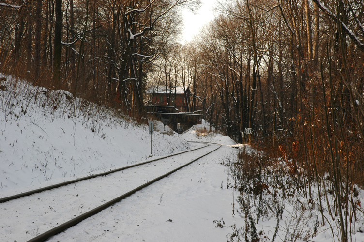 DSC_7602