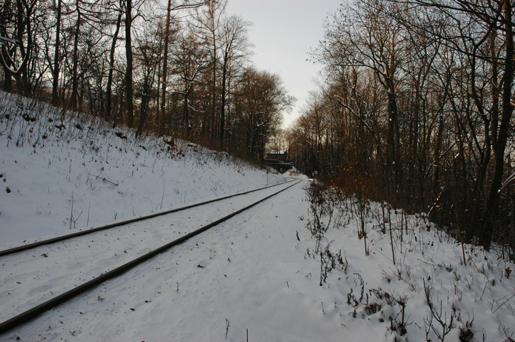 DSC_7603