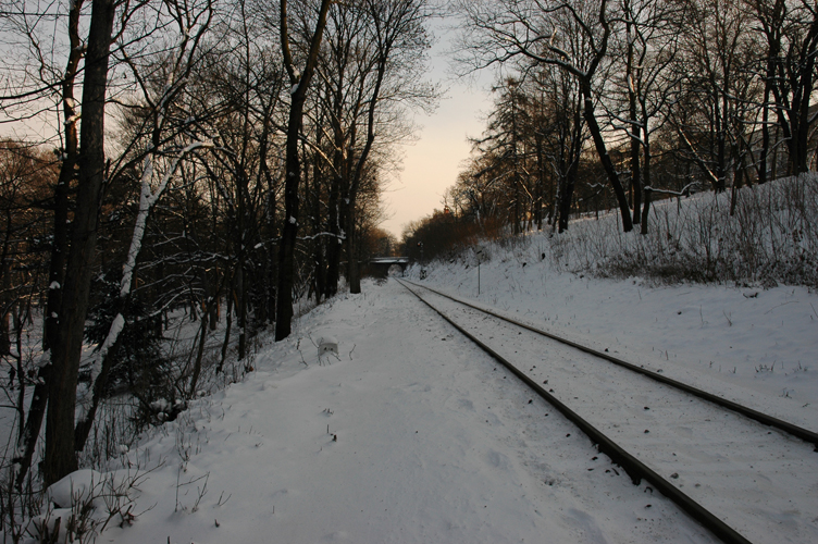 DSC_7604