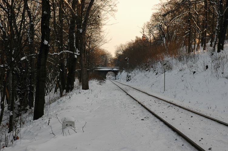 DSC_7605