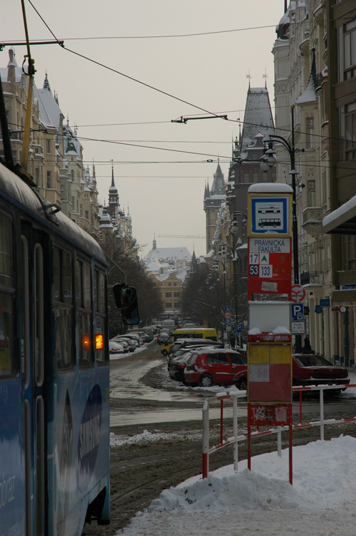 DSC_7528