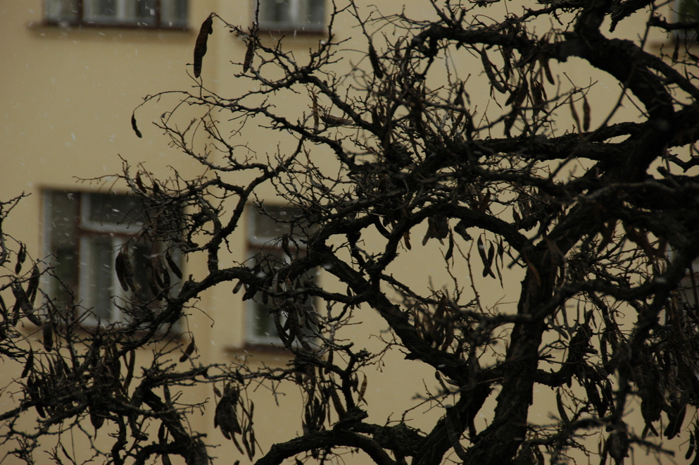 DSC_5977.JPG