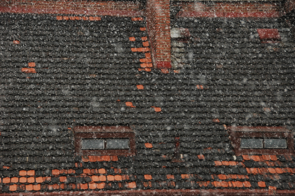 DSC_5988.JPG