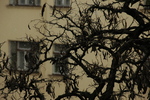 DSC_5977.JPG