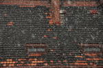 DSC_5988.JPG