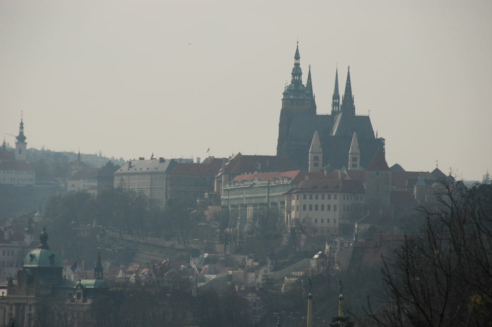 DSC_6050.JPG