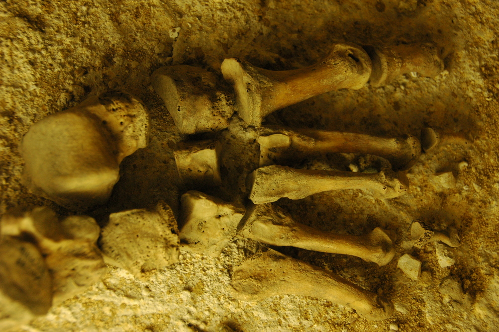 DSC_6074.JPG