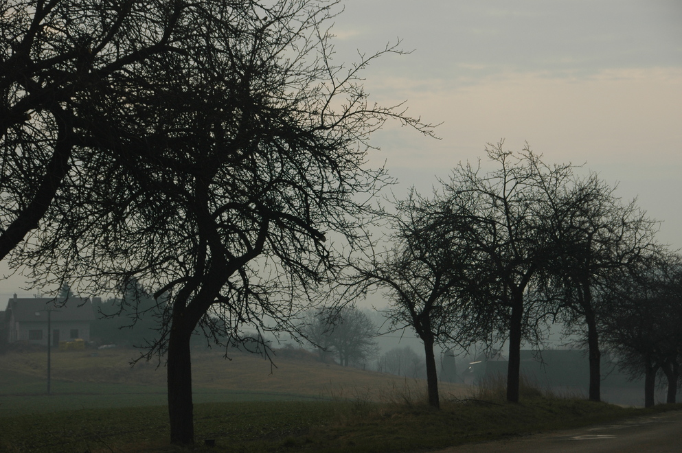 DSC_6275.JPG