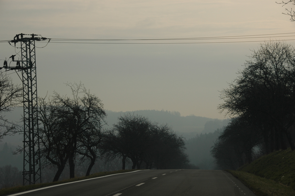 DSC_6277.JPG