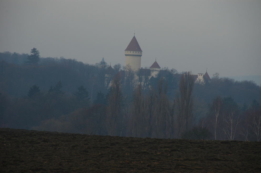 DSC_6301.JPG