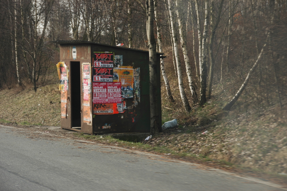 DSC_6310.JPG