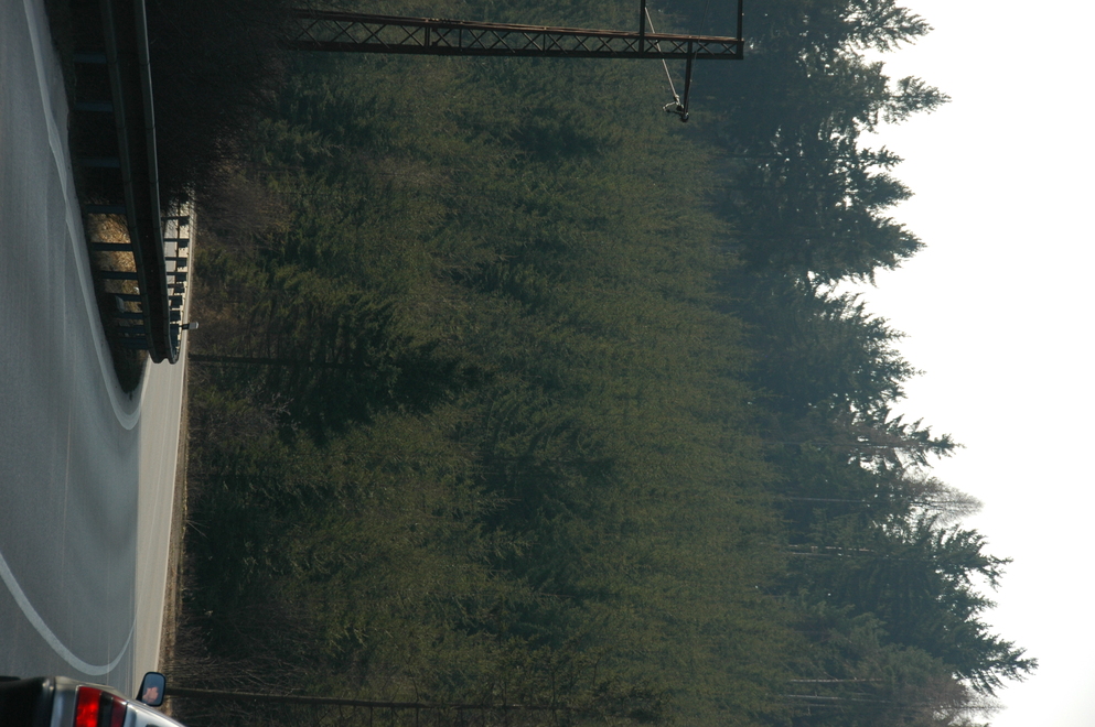 DSC_6332.JPG