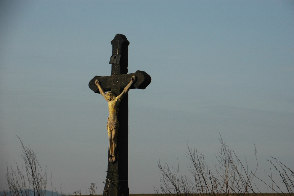 DSC_6340.JPG