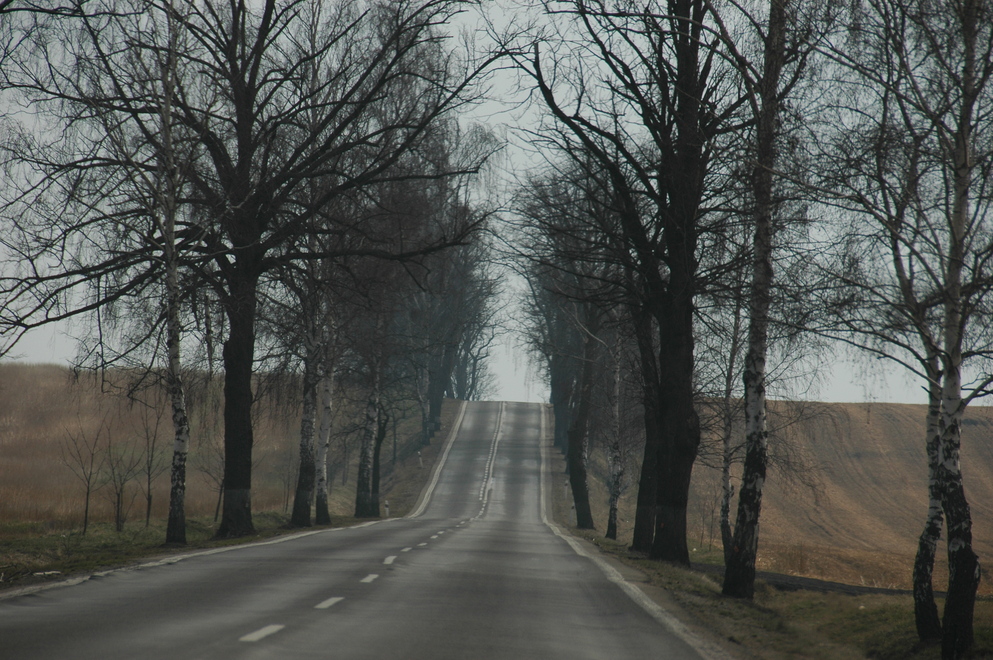 DSC_6346.JPG