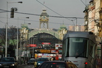 DSC_6008.JPG