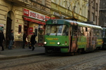 DSC_6021.JPG