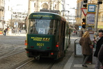 DSC_6022.JPG