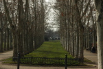 DSC_6035.JPG