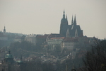 DSC_6050.JPG