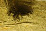 DSC_6071.JPG