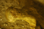 DSC_6072.JPG