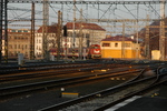 DSC_6140.JPG