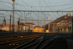 DSC_6144.JPG