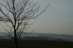 DSC_6246.JPG