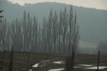 DSC_6256.JPG