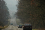 DSC_6261.JPG