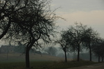 DSC_6275.JPG