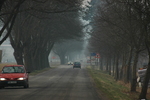 DSC_6283.JPG