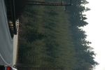 DSC_6332.JPG
