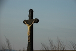 DSC_6340.JPG