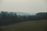 DSC_6341.JPG