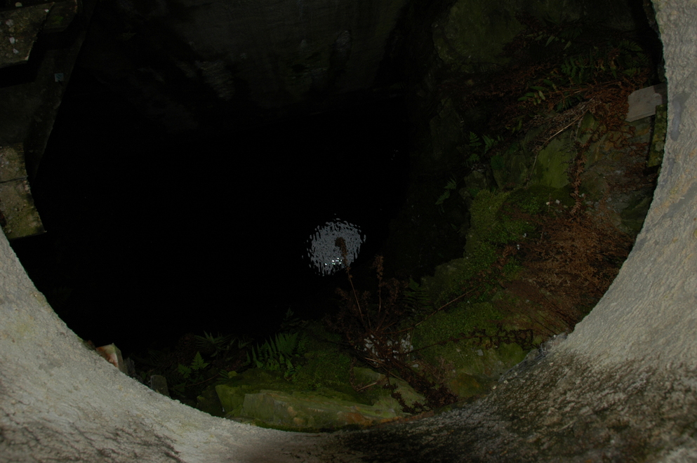 DSC_6447.JPG