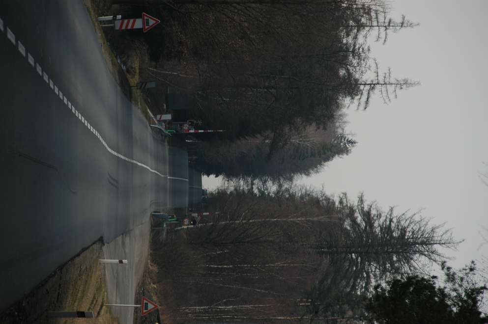 DSC_6514.JPG