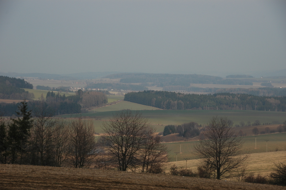 DSC_6547.JPG