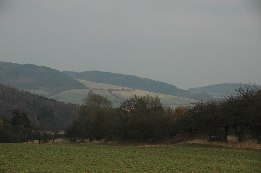DSC_6576.JPG