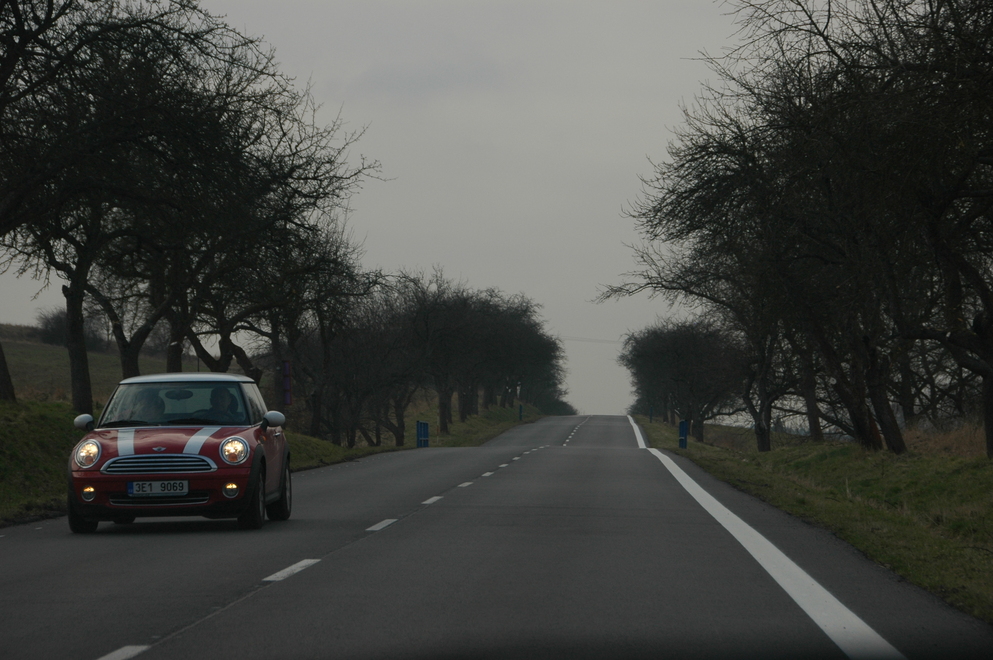 DSC_6588.JPG